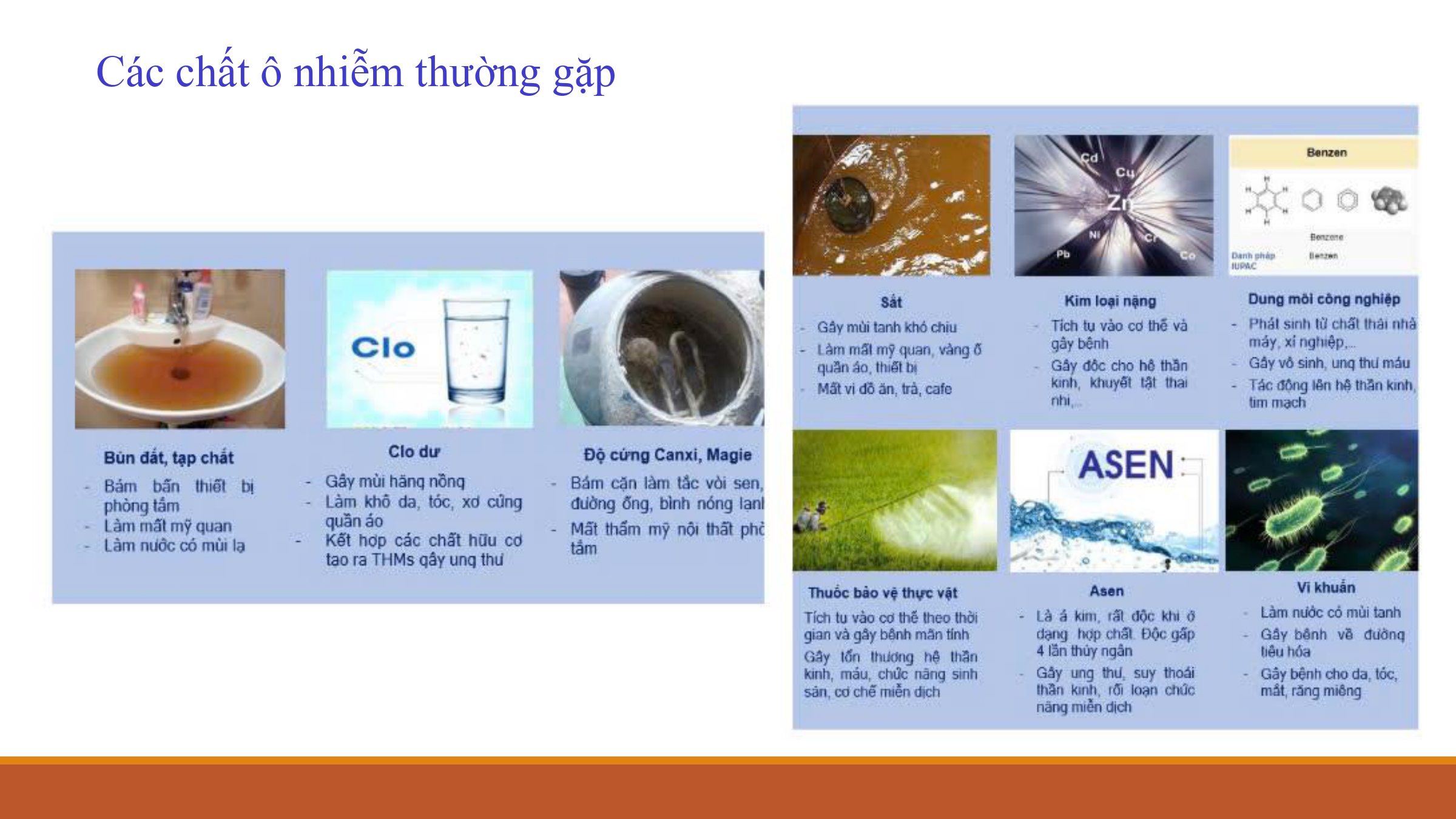 Sản phẩm Paloma trang 5